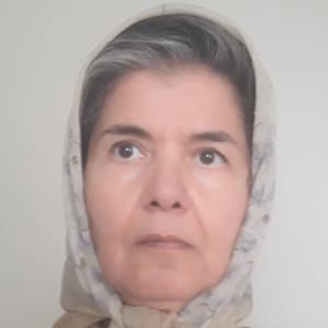 Parvin Abachi